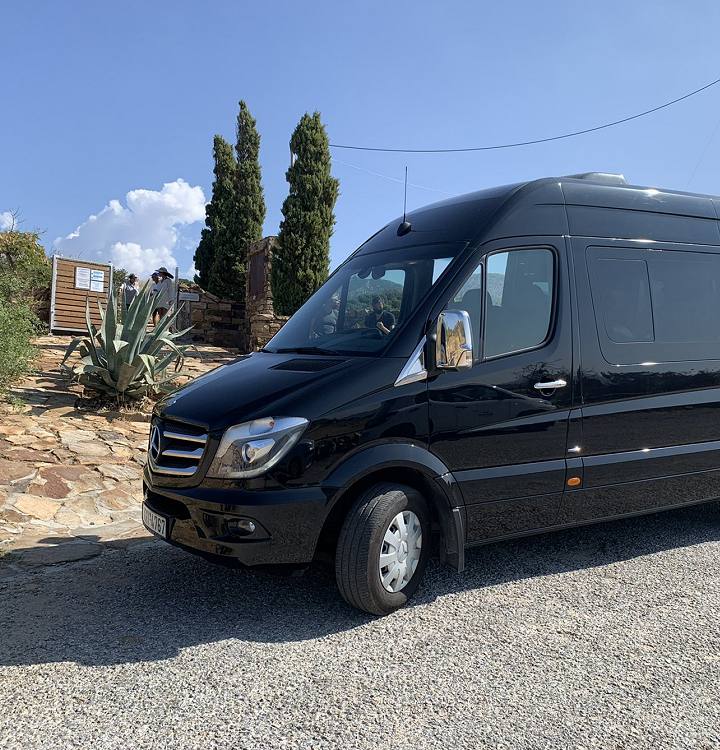 Assigned Driver / Private Tours
